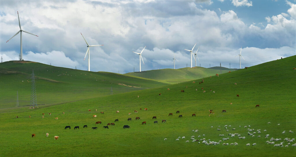 Green hills with cows and wind turbines