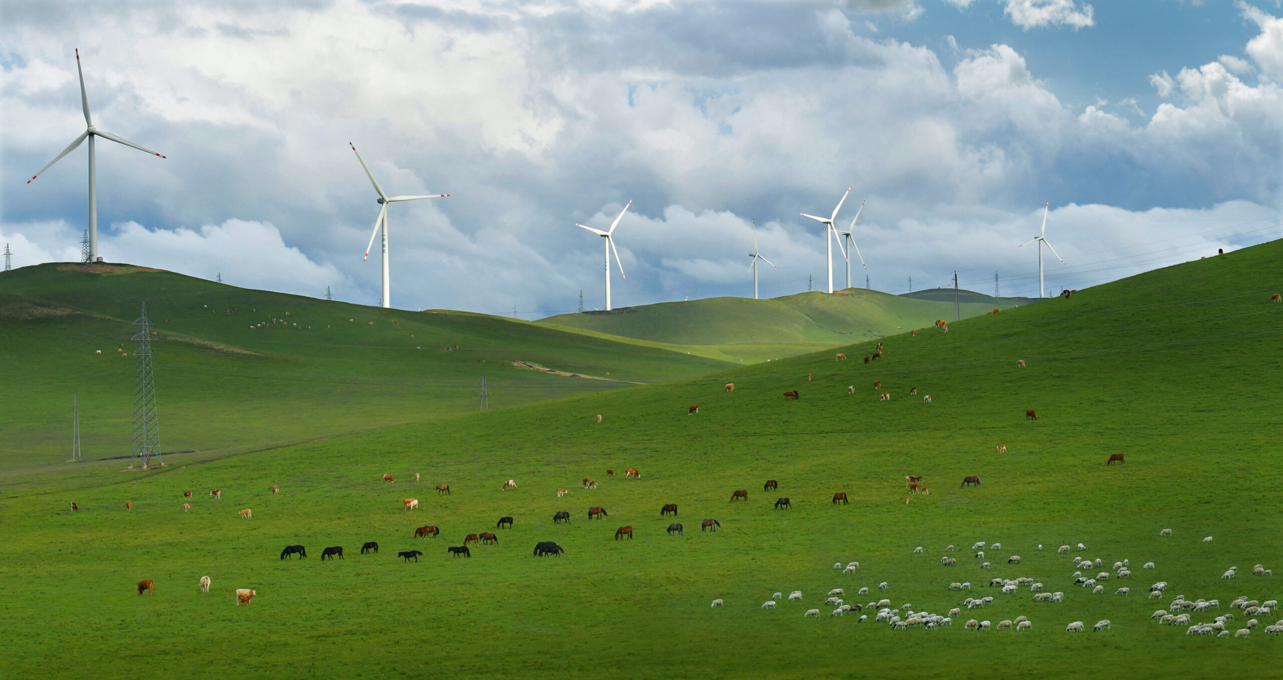 Green hills with cows and wind turbines