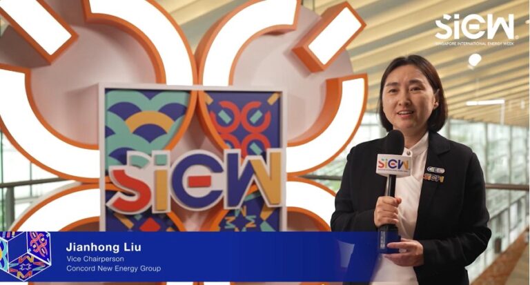 Liu Jianhong, Vice Chairperson of CNE Thumbnail