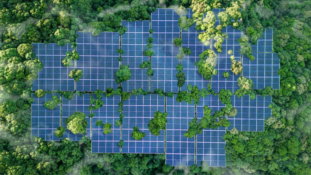 Bird's eye view of a solar panel farm in the forest