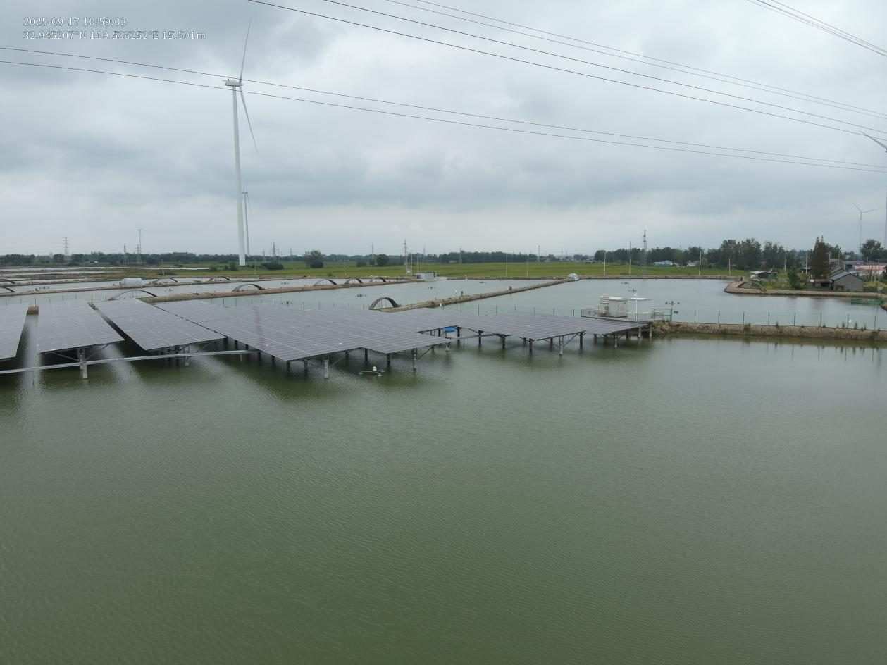 Solar panels mounted on frames above a fishpond, with wind turbines on the horizon